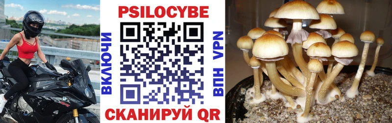 hydra сайт  Игарка  Галлюциногенные грибы Magic Shrooms 