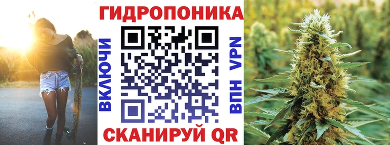 Каннабис OG Kush  Игарка 